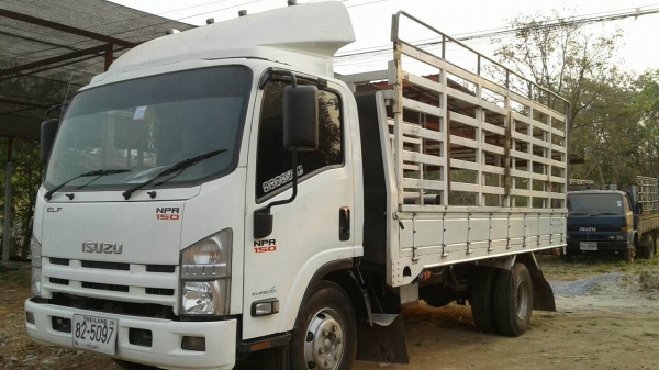 ขาย 6 ล้อ ISUZU NPR 150 ปี 54 ยาว 5 เมตร รถสวยพร้อมใช้ เครื่องเดิม เกียร์เดิม ทะเบียนพร้อมโอน