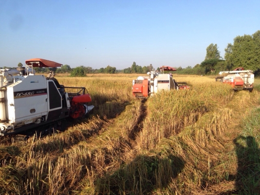 ขาย DC68G ขาย DC68G