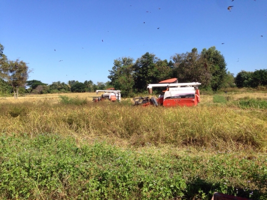 ขาย DC68G ขาย DC68G