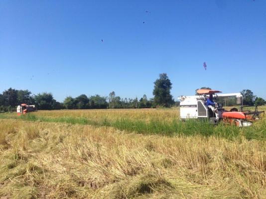 ขาย DC68G ขาย DC68G