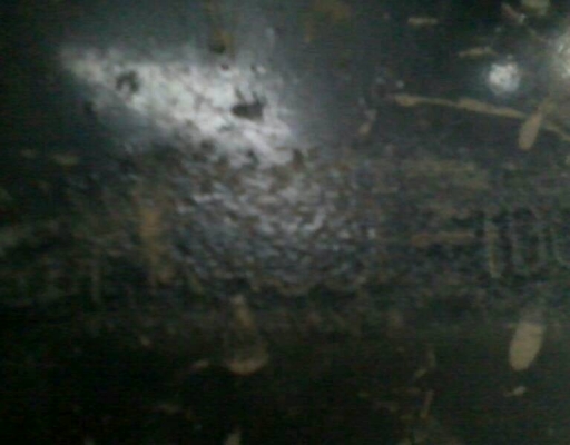 6ล้อดั้ม มิตซูบิชิ 160 แรง 6D14 6ล้อดั้ม มิตซูบิชิ 160 แรง 6D14