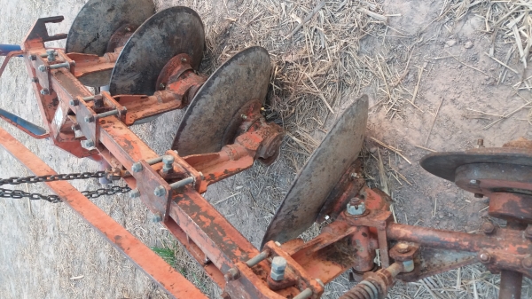 หางสี่ kk ใบ22 หางสี่ kk ใบ22