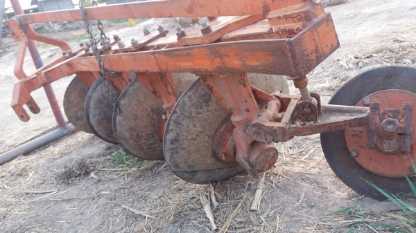 หางสี่ kk ใบ22 หางสี่ kk ใบ22