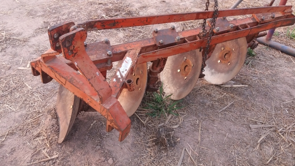 หางสี่ kk ใบ22