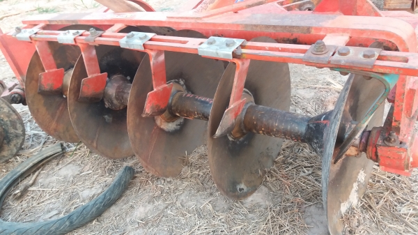 หาง5ใบ22 K2 หาง5ใบ22 K2