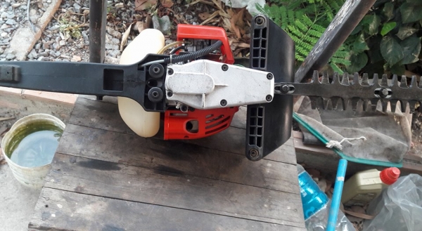 เลื่อยยนต์ตัดแต่งกิ่ง,ทรงพุ่ม เลื่อยยนต์ตัดแต่งกิ่ง,ทรงพุ่ม