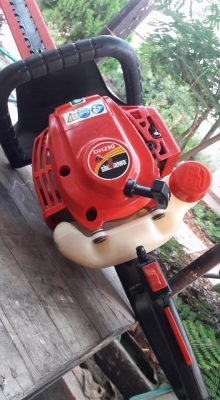 เลื่อยยนต์ตัดแต่งกิ่ง,ทรงพุ่ม เลื่อยยนต์ตัดแต่งกิ่ง,ทรงพุ่ม