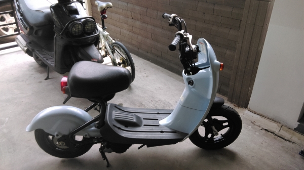 กระต่าย น้อยโชอิโนริ