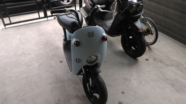 กระต่าย น้อยโชอิโนริ