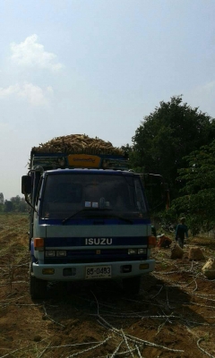 ขายรถ6ล้อ ร็อกกี้165แรง เครื่องดี แคชซีสวยFSR ยาว5.20เมตร รถสวยพร้อมใช้งาน เอกสารพร้อมโอน สนใจโทร 090-8588220คุณนะ 093-3258446คุณบิว หรือเข้าดูสินค้าอื่นๆได้ที่ www.truck.in.th/498 หรือเพจFacebook ณรงค์ ซื้อขายรถมือสอง (เว็บไซต์ส่วนตัว) หรือFacebook คุณนะ ขายรถ6ล้อ ร็อกกี้165แรง เครื่องดี แคชซีสวยFSR ยาว5.20เมตร รถสวยพร้อมใช้งาน เอกสารพร้อมโอน สนใจโทร 090-8588220คุณนะ 093-3258446คุณบิว หรือเข้าดูสินค้าอื่นๆได้ที่ www.truck.in.th/498 หรือเพจFacebook ณรงค์ ซื้อขายรถมือสอง (เว็บไซต์ส่วนตัว) หรือFacebook คุณนะ