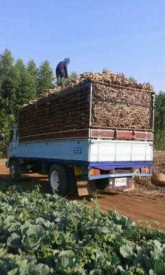 ขายรถ6ล้อ ร็อกกี้165แรง เครื่องดี แคชซีสวยFSR ยาว5.20เมตร รถสวยพร้อมใช้งาน เอกสารพร้อมโอน สนใจโทร 090-8588220คุณนะ 093-3258446คุณบิว หรือเข้าดูสินค้าอื่นๆได้ที่ www.truck.in.th/498 หรือเพจFacebook ณรงค์ ซื้อขายรถมือสอง (เว็บไซต์ส่วนตัว) หรือFacebook คุณนะ ขายรถ6ล้อ ร็อกกี้165แรง เครื่องดี แคชซีสวยFSR ยาว5.20เมตร รถสวยพร้อมใช้งาน เอกสารพร้อมโอน สนใจโทร 090-8588220คุณนะ 093-3258446คุณบิว หรือเข้าดูสินค้าอื่นๆได้ที่ www.truck.in.th/498 หรือเพจFacebook ณรงค์ ซื้อขายรถมือสอง (เว็บไซต์ส่วนตัว) หรือFacebook คุณนะ