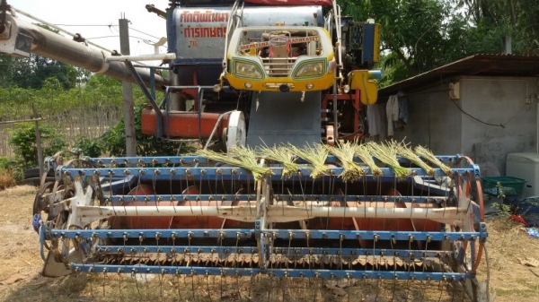 ลดราคาสุดๆ260000บาทขายรถเกี่ยวศักดิ์พัฒนาการอุ้ม2.5ตันเดิน12ปั้ม23เครื่อง6he1