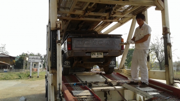 ม้าดำ สี่ขอ ม้าดำ สี่ขอ