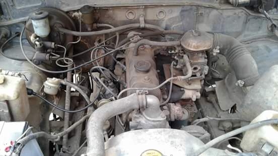 ม้าดำ สี่ขอ ม้าดำ สี่ขอ