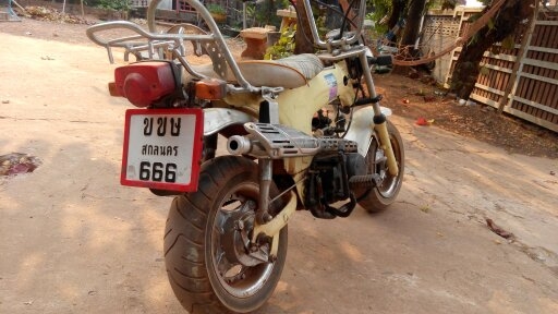 ชาลีDAX แท้ st50