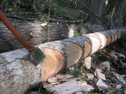 ขวาน plumb tasmanian axe.made in USA ขวาน plumb tasmanian axe.made in USA