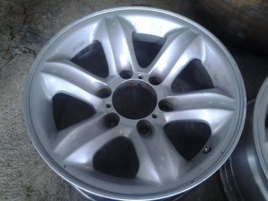 เล็บเหยี่ยวแท้เดิมๆ