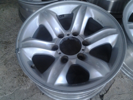 เล็บเหยี่ยวแท้เดิมๆ