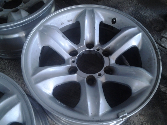 เล็บเหยี่ยวแท้เดิมๆ