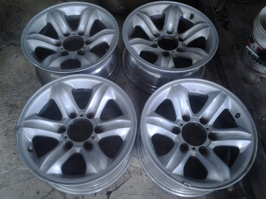 เล็บเหยี่ยวแท้เดิมๆ