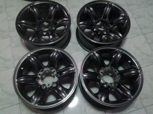 เล็บเหยี่ยวแท้ขอบ16 เทากัน