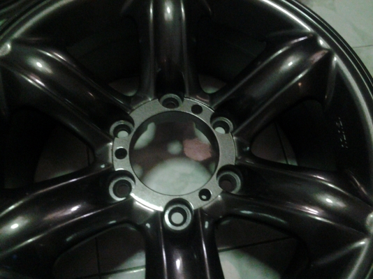 เล็บเหยี่ยวแท้ขอบ16 เทากัน