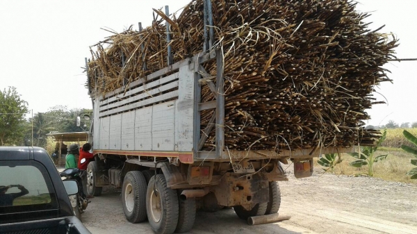 ขาย 10 ล้อดั้ม ISUZU FXZ23NFY เครื่อง 6HE1 เทอร์โบ์ 240 แรงม้า เกียร์ Easton คัสซีสวยตลอดเส้น ทะเบียนพร้อมโอน