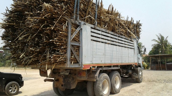 ขาย 10 ล้อดั้ม ISUZU FXZ23NFY เครื่อง 6HE1 เทอร์โบ์ 240 แรงม้า เกียร์ Easton คัสซีสวยตลอดเส้น ทะเบียนพร้อมโอน