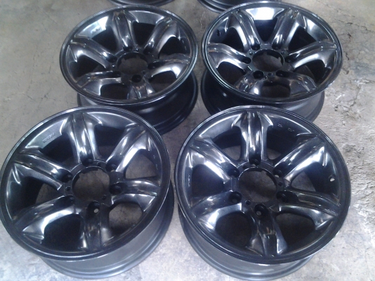 เล็บเหยี่ยวแท้ขอบ16 แบรคไน เล็บเหยี่ยวแท้ขอบ16 แบรคไน