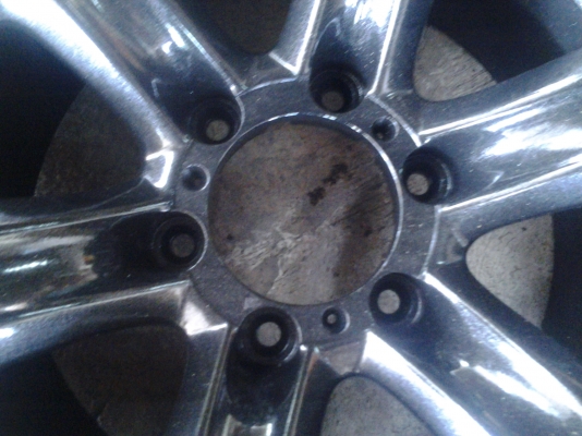 เล็บเหยี่ยวแท้ขอบ16 แบรคไน เล็บเหยี่ยวแท้ขอบ16 แบรคไน