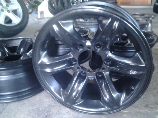 เล็บเหยี่ยวแท้ขอบ16 แบรคไน เล็บเหยี่ยวแท้ขอบ16 แบรคไน