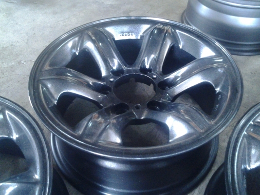 เล็บเหยี่ยวแท้ขอบ16 แบรคไน เล็บเหยี่ยวแท้ขอบ16 แบรคไน