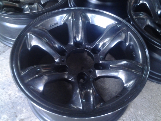 เล็บเหยี่ยวแท้ขอบ16 แบรคไน เล็บเหยี่ยวแท้ขอบ16 แบรคไน