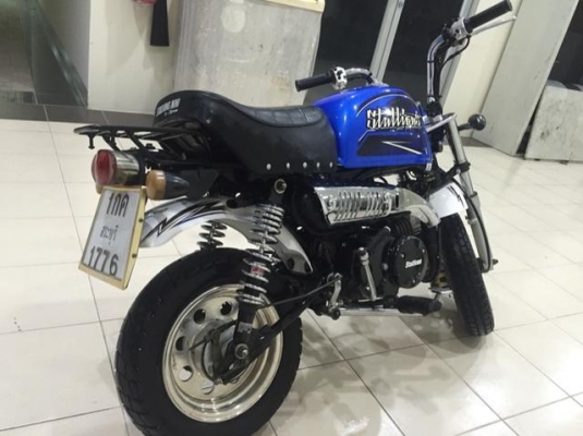 ขายกอลิล่า สตาร์เลี่ยน ขายกอลิล่า สตาร์เลี่ยน