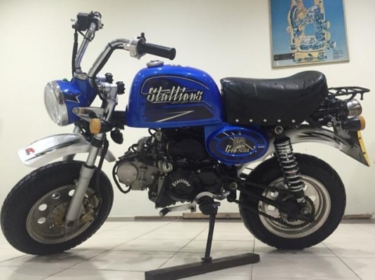 ขายกอลิล่า สตาร์เลี่ยน