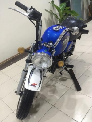 ขายกอลิล่า สตาร์เลี่ยน ขายกอลิล่า สตาร์เลี่ยน