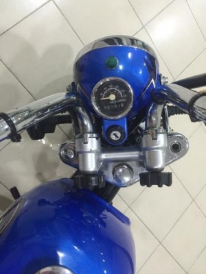 ขายกอลิล่า สตาร์เลี่ยน ขายกอลิล่า สตาร์เลี่ยน