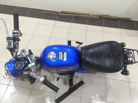 ขายกอลิล่า สตาร์เลี่ยน ขายกอลิล่า สตาร์เลี่ยน