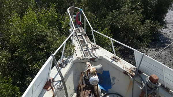 เรือ 2 ลำ