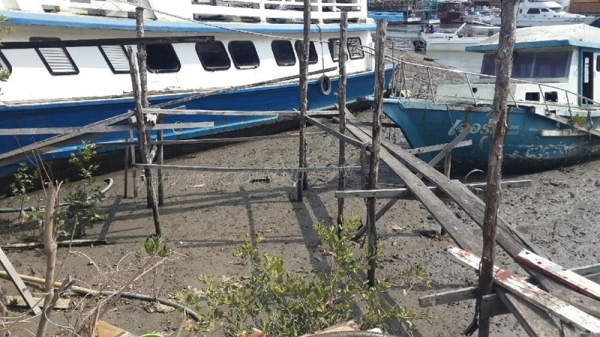 เรือ 2 ลำ