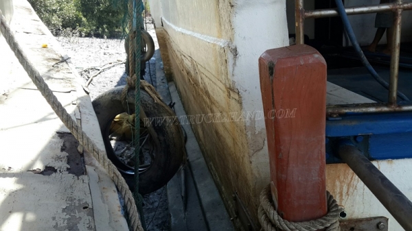 เรือ 2 ลำ