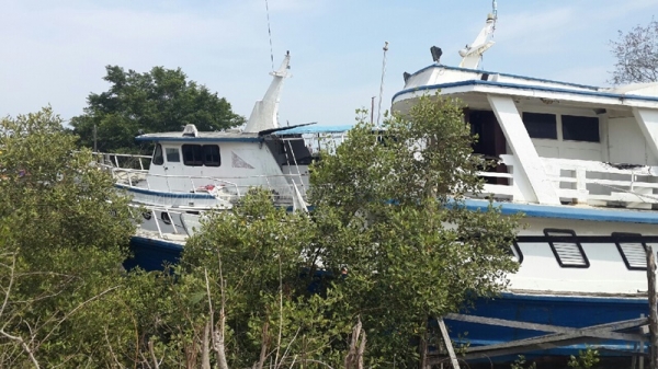 เรือ 2 ลำ