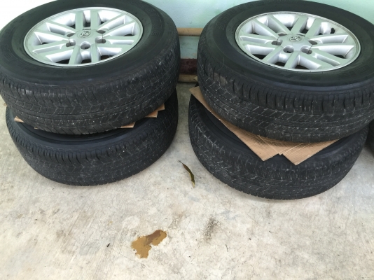 ขายแม็กฟอร์จูนเนอร์. วีโก้แชมป์