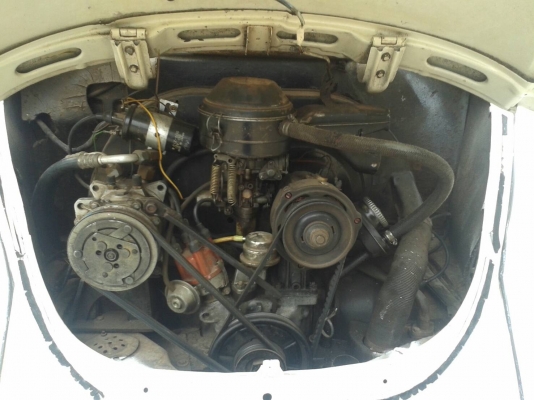 ขายด่วนโฟล์คเต่าสวยๆ