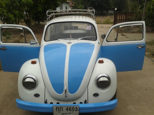 ขายด่วนโฟล์คเต่าสวยๆ