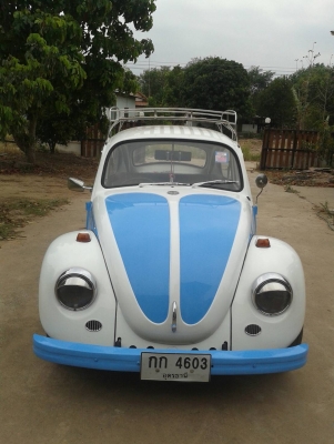 ขายด่วนโฟล์คเต่าสวยๆ