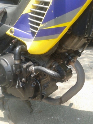 ขายลูกเดียว sonic ปี2543 ขายราคาเบาๆ รับประกันการโอน ขายลูกเดียว sonic ปี2543 ขายราคาเบาๆ รับประกันการโอน