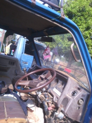 ขายรถ6ล้อ ดั้มไดน่า เครื่อง13B 110แรง ดั้มยิงหลัง เครื่องดี พร้อมใช้งาน เอกสารพร้อมโอน สนใจโทร 090-8588220คุณนะ 093-3258446คุณบิว หรือเข้าดูสินค้าอื่นๆได้ที่ www.truck.in.th/498 หรือเพจFacebook ณรงค์ ซื้อขายรถมือสอง (เว็บไซต์ส่วนตัว) หรือFacebook คุณนะ รถ