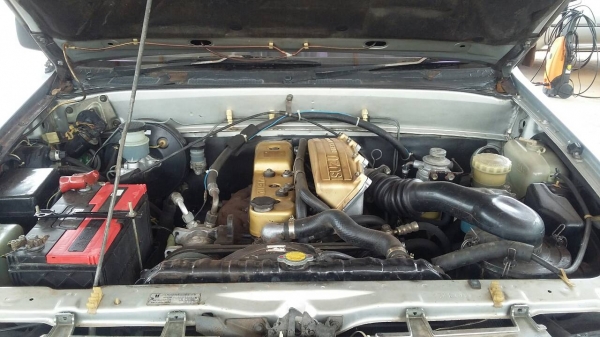 มังกรทองยอดประหยัด 4ประตู สวยจัด