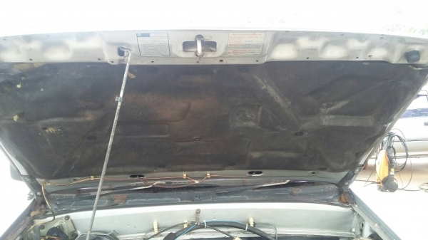 มังกรทองยอดประหยัด 4ประตู สวยจัด